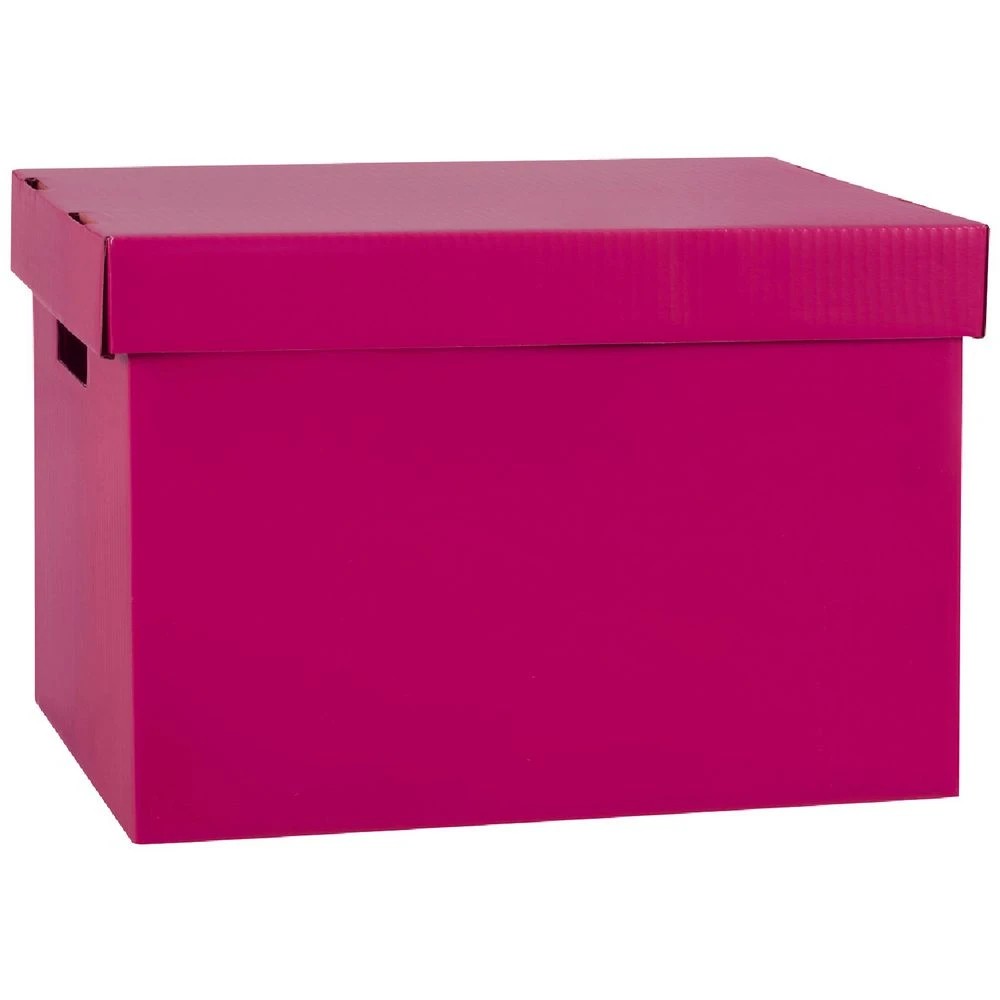 1 Marbig Coloured Archive Box Berry, 1 of 1