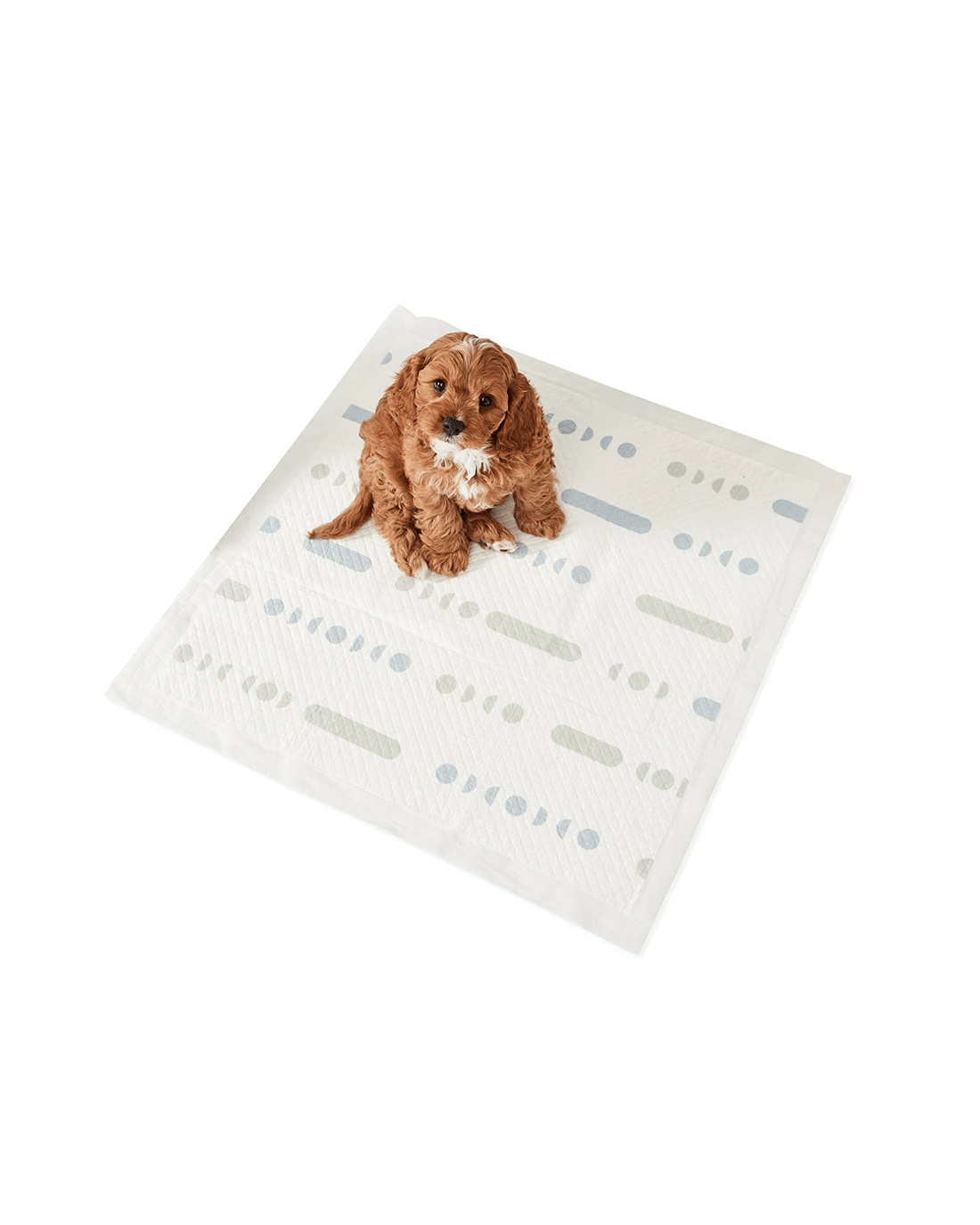 2 20 Pack Scented Puppy Pads, 2 of 7