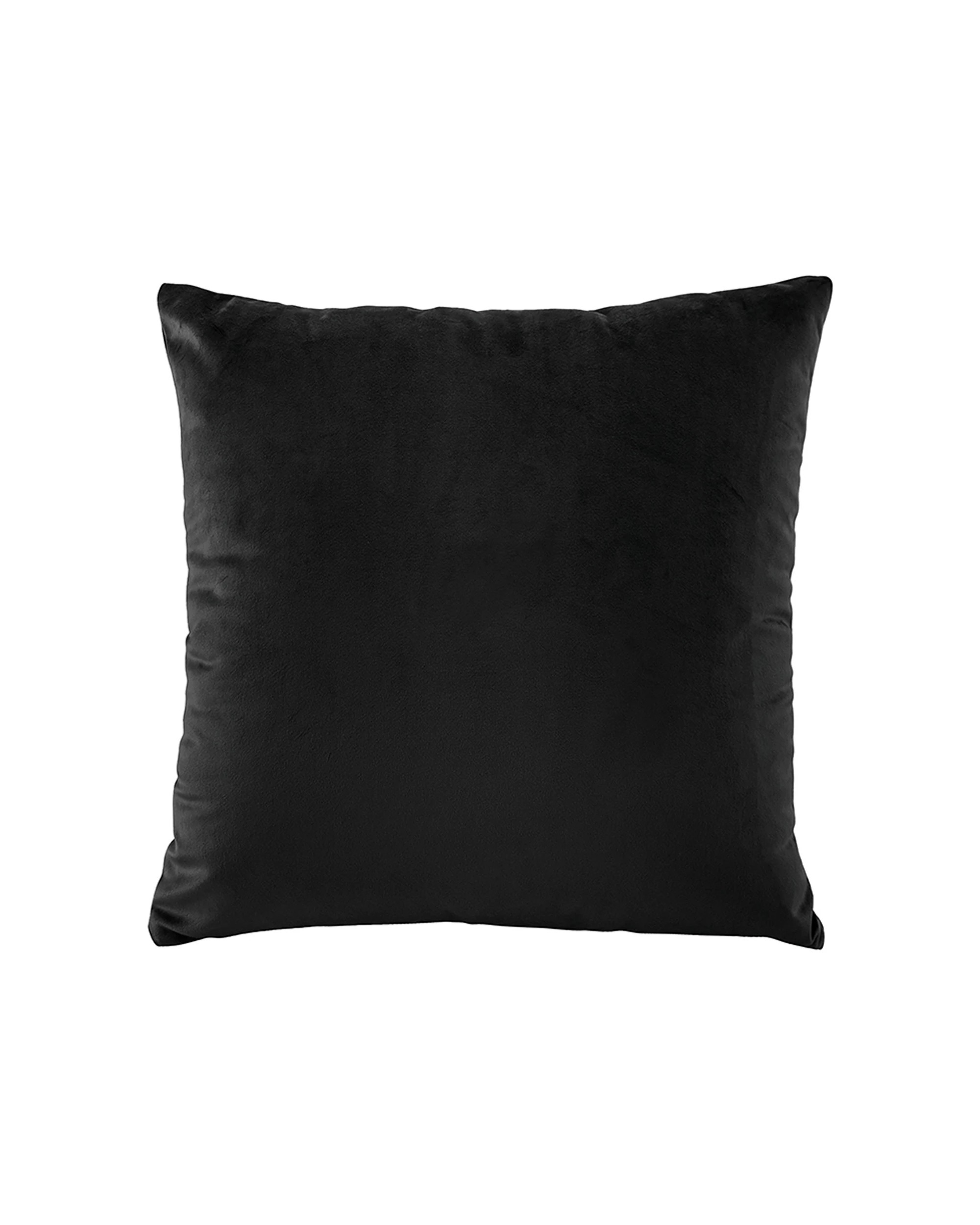 1 Bianca Vivid Coordinates Cushion Velvet 43x43cm Square Pillow - Black, 1 of 1