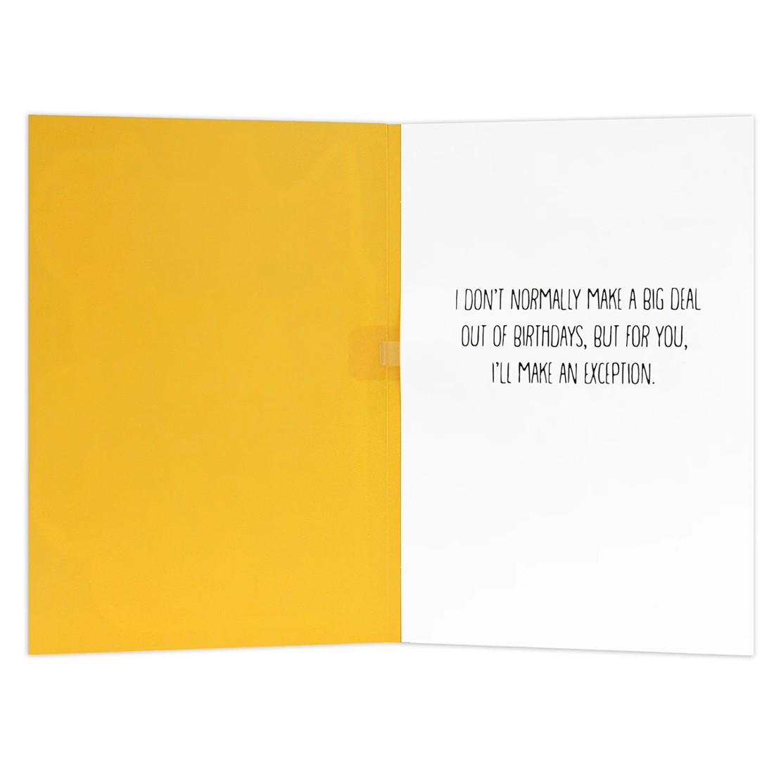 2 Hallmark Interactive Sound Birthday Card - Grumpy Cat, 2 of 4