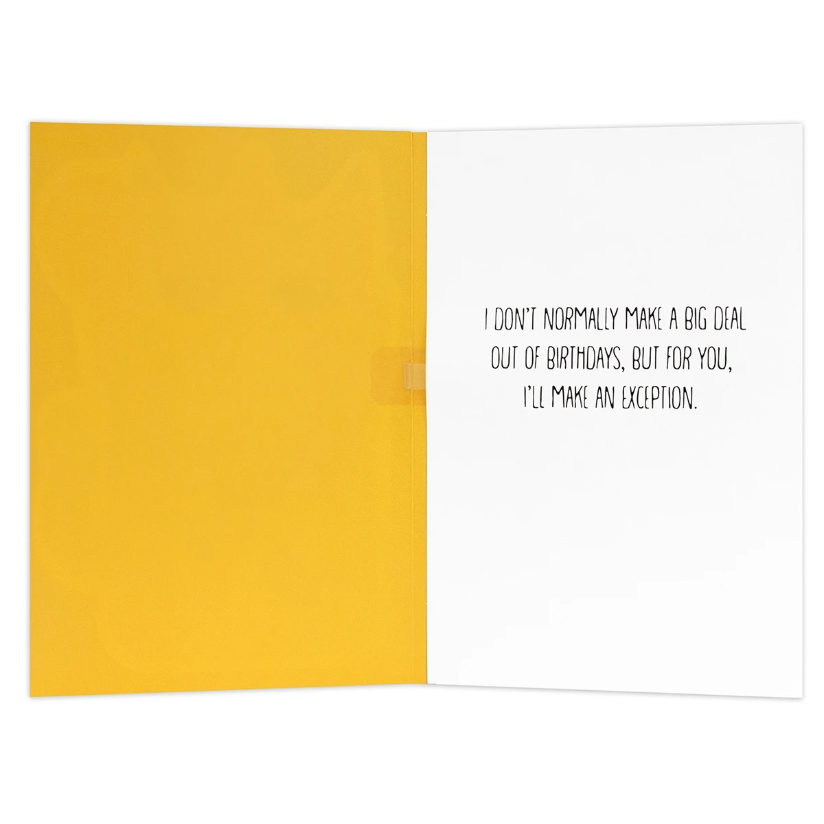 2 Hallmark Interactive Sound Birthday Card - Grumpy Cat, 2 of 4