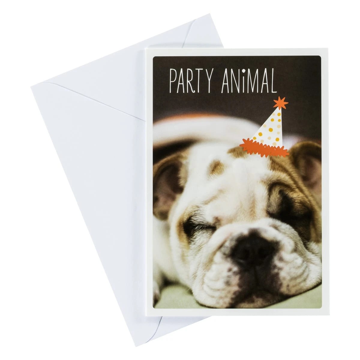 1 Party Animal Card, 1 of 2