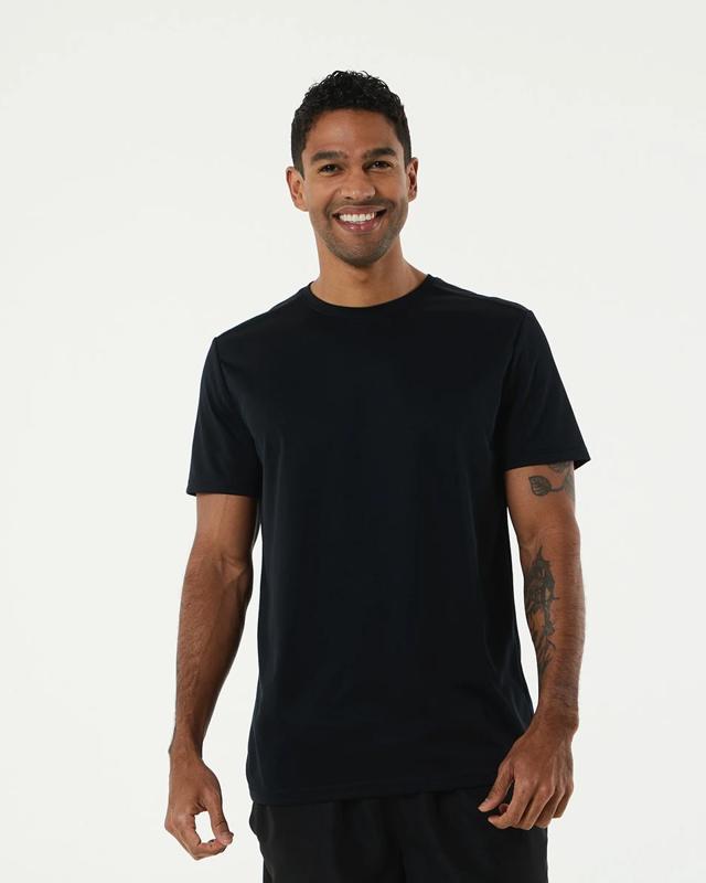 Active Mesh T-s