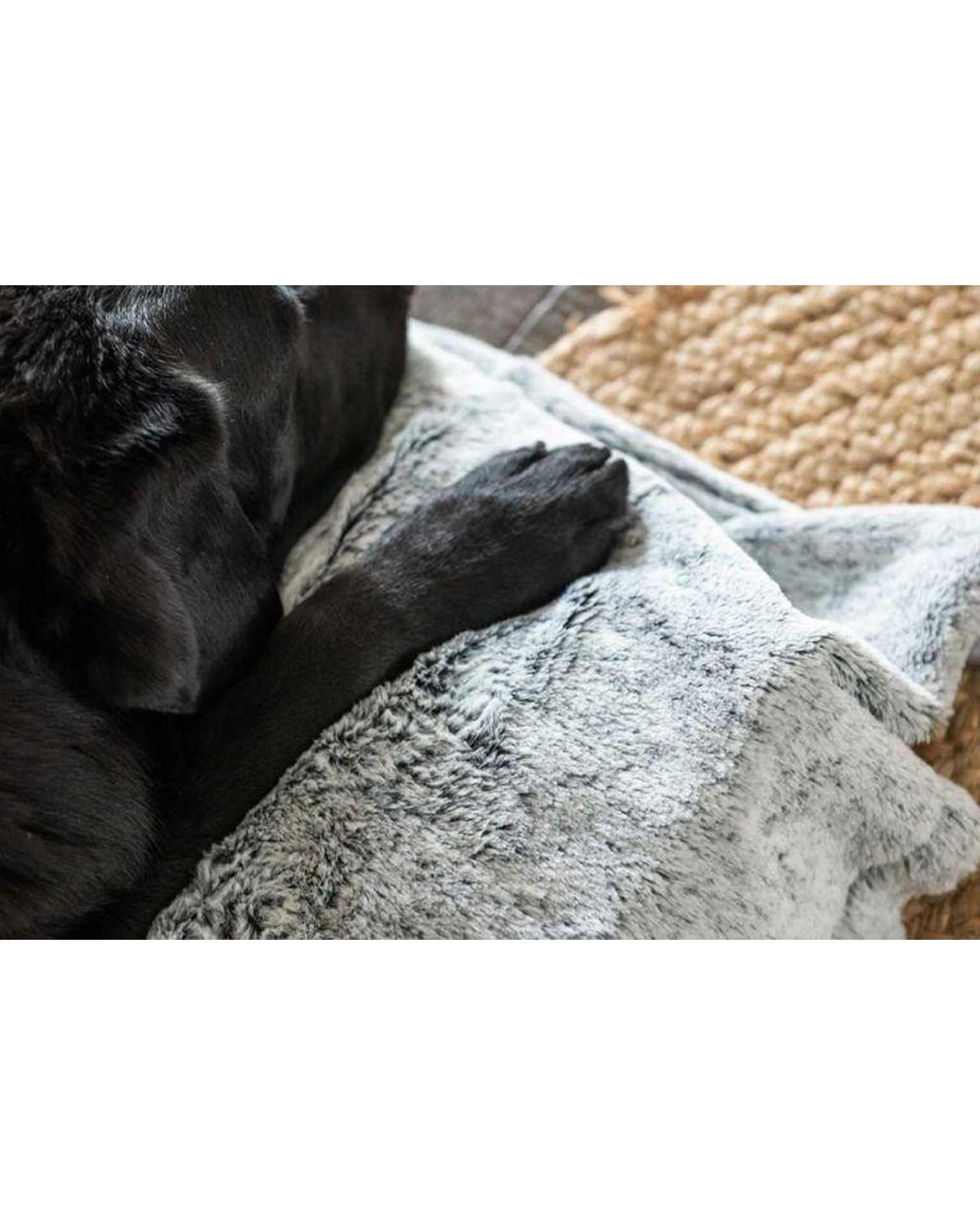 7 Superior Pet Calming Plush Pet Blanket Arctic Faux Fur Small, 7 of 8