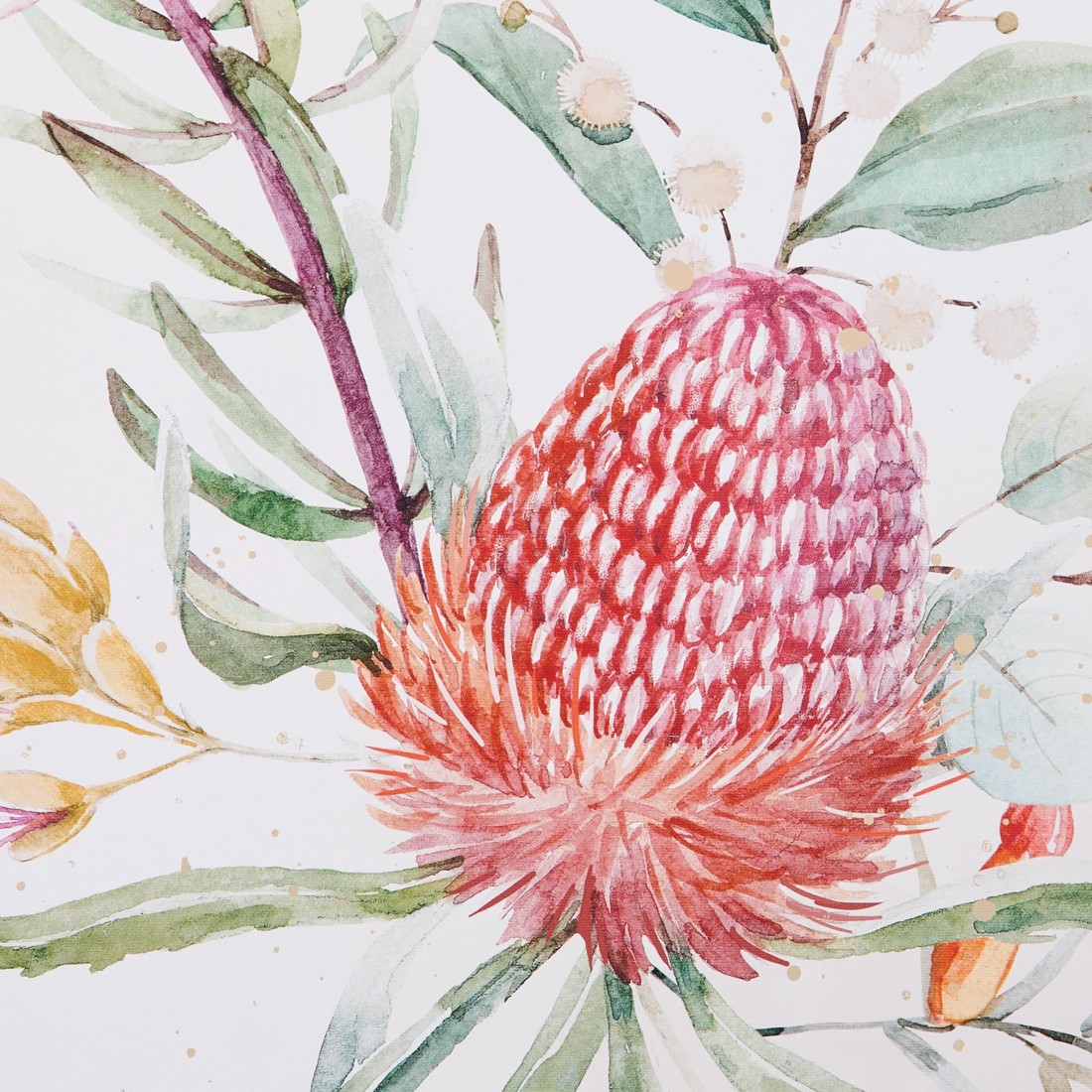 5 2 Pack Natives Framed Canvas, 5 of 7