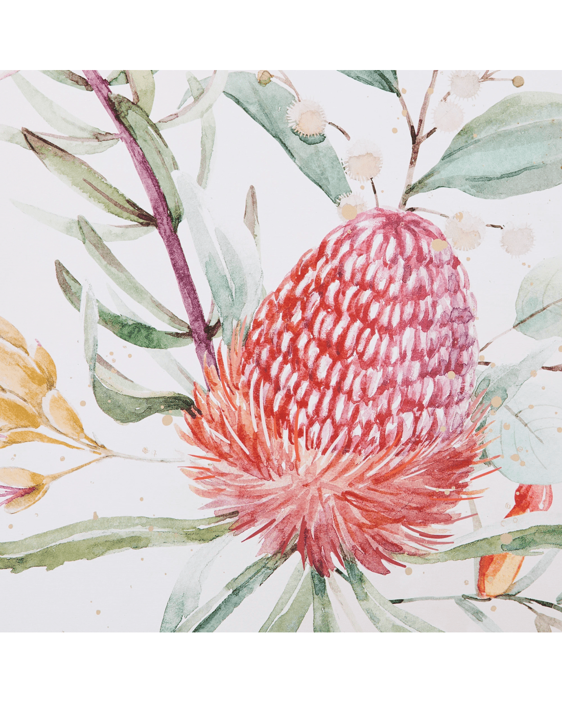 5 2 Pack Natives Framed Canvas, 5 of 7