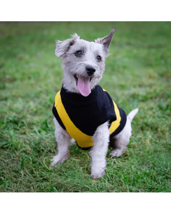 AFL Richmond Tigers Pet Jumper - Small