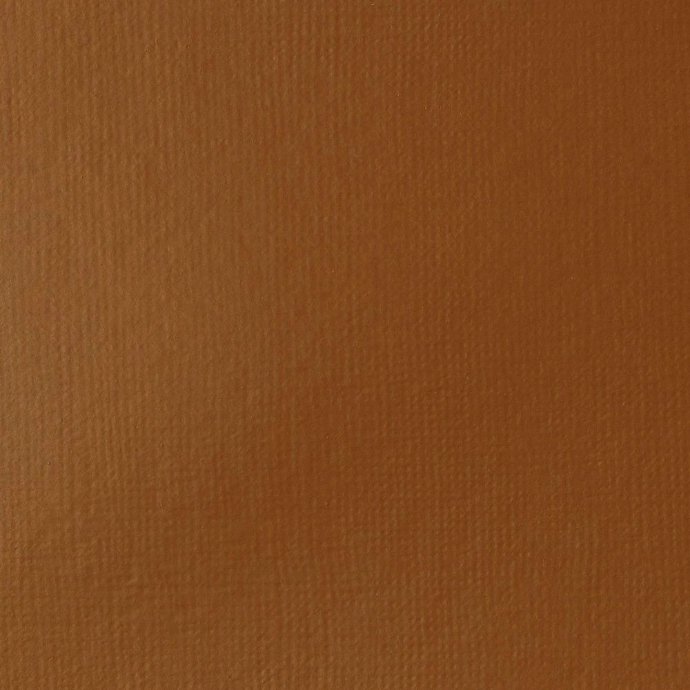 5 Liquitex Basics 118mL Paint Raw Sienna, 5 of 5
