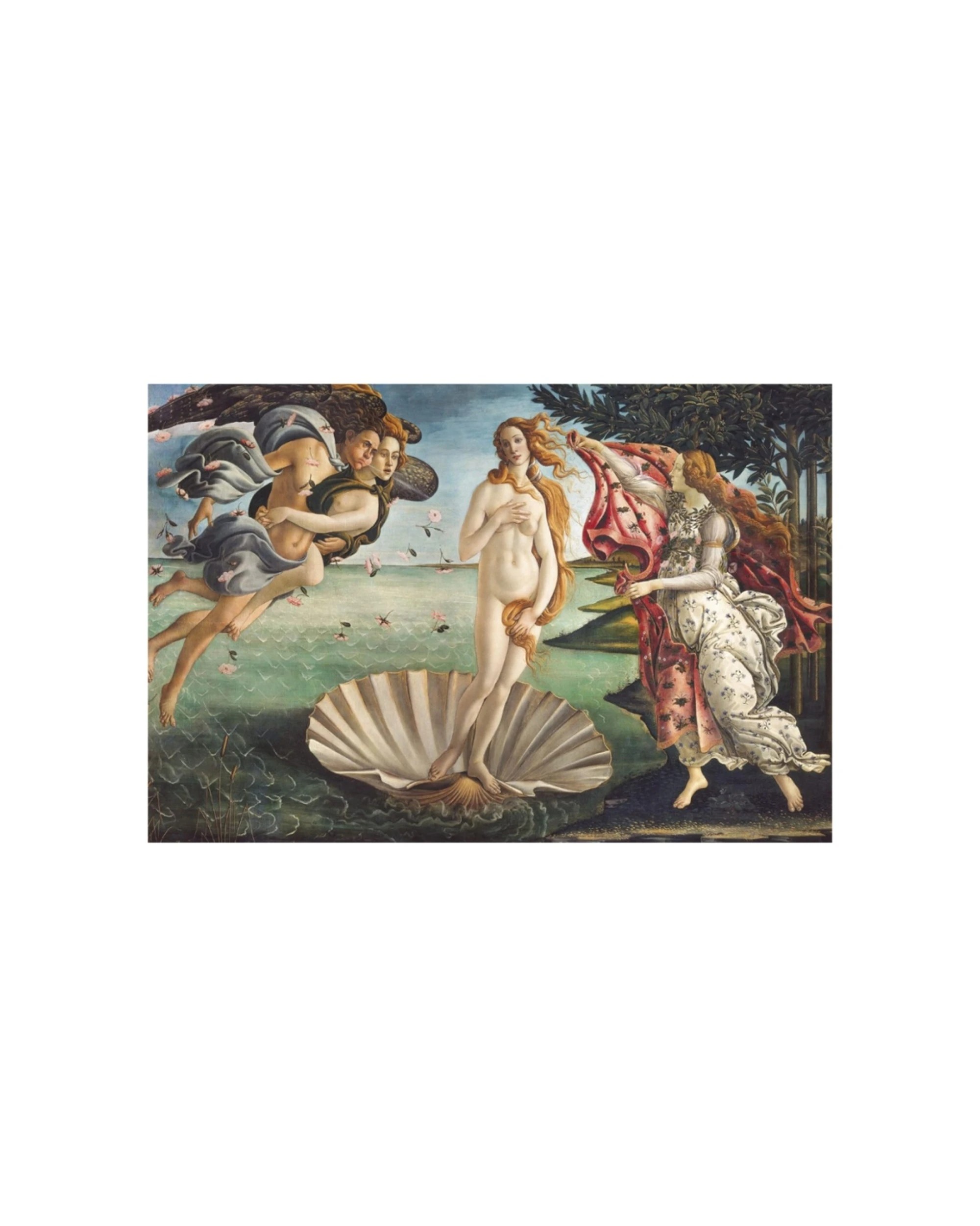 2 Clementoni Museum Collection Birth Of Venus 2000 Piece Jigsaw Puzzle 97x67, 2 of 2