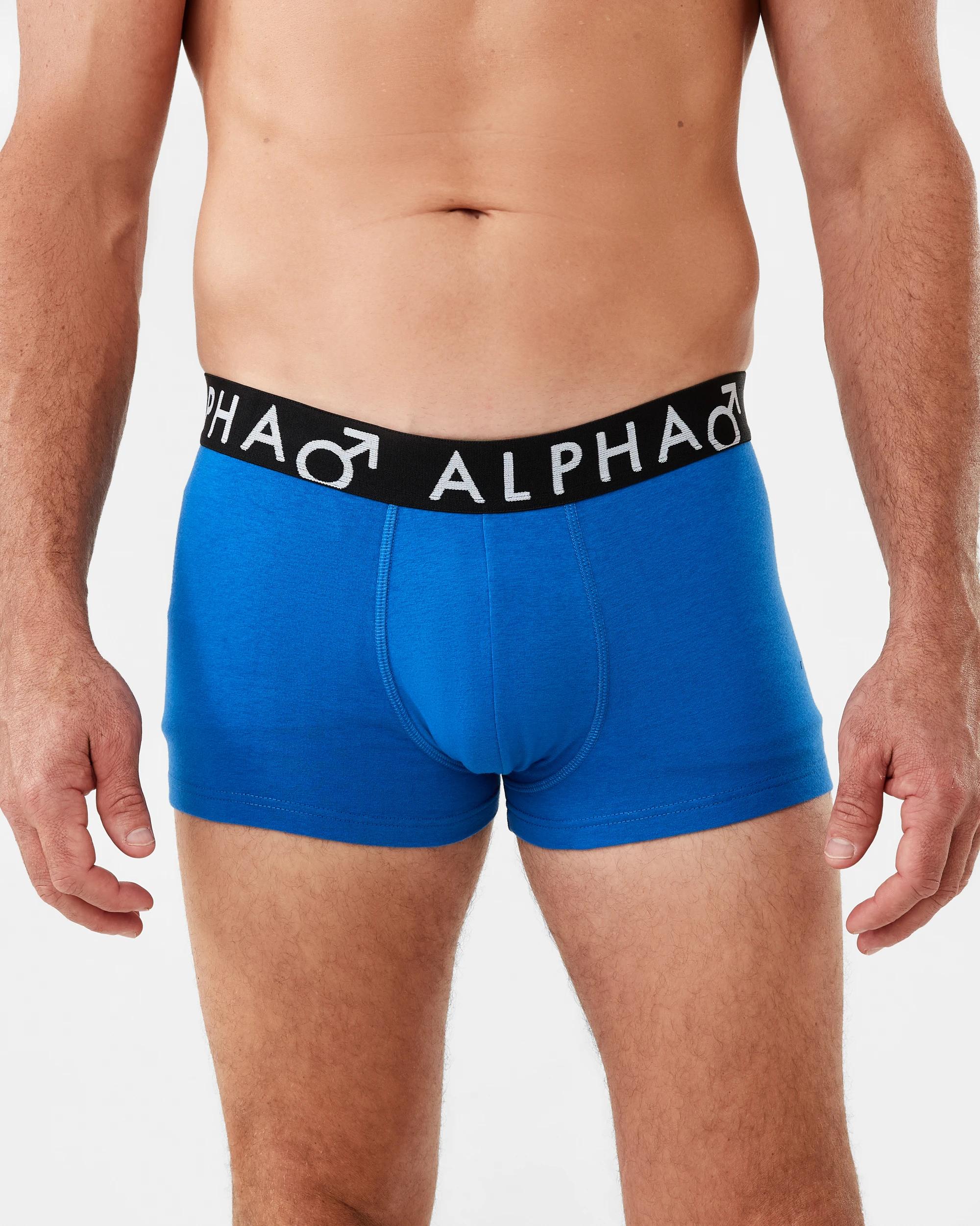 3 3 Pack Print Plain Trunks Food Fans, 3 of 8