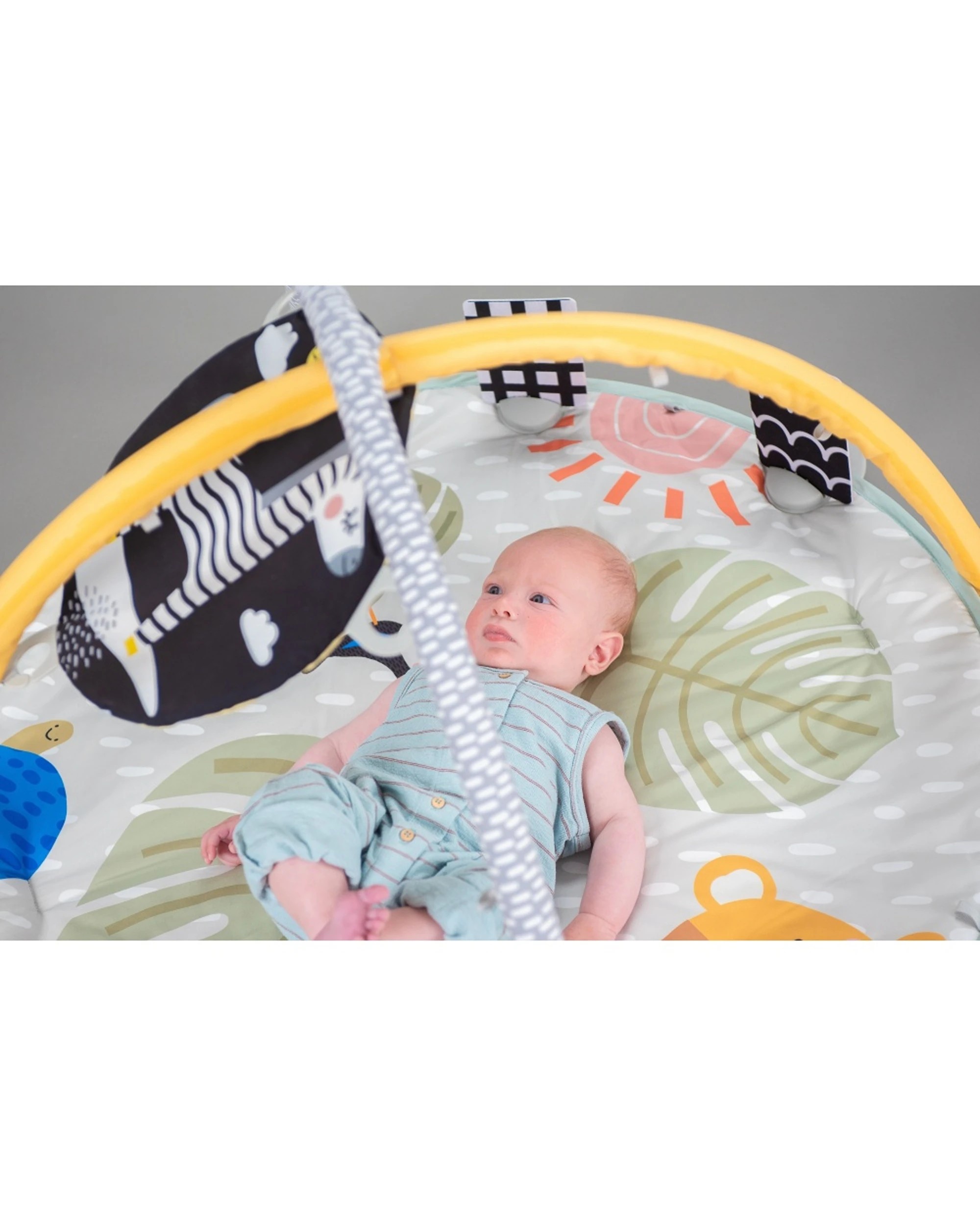 2 Taf Toys Savannah 360 Activity Gym Baby Play Mat With Accessories - Multi, 2 of 6