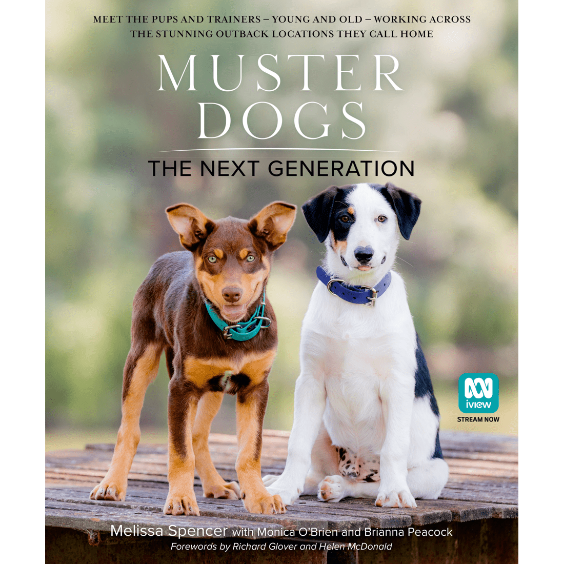 1 Muster Dogs: The Next Generation by Melissa Spencer, Monica O'Brien and Brianna Peacock - Book, 1 of 1