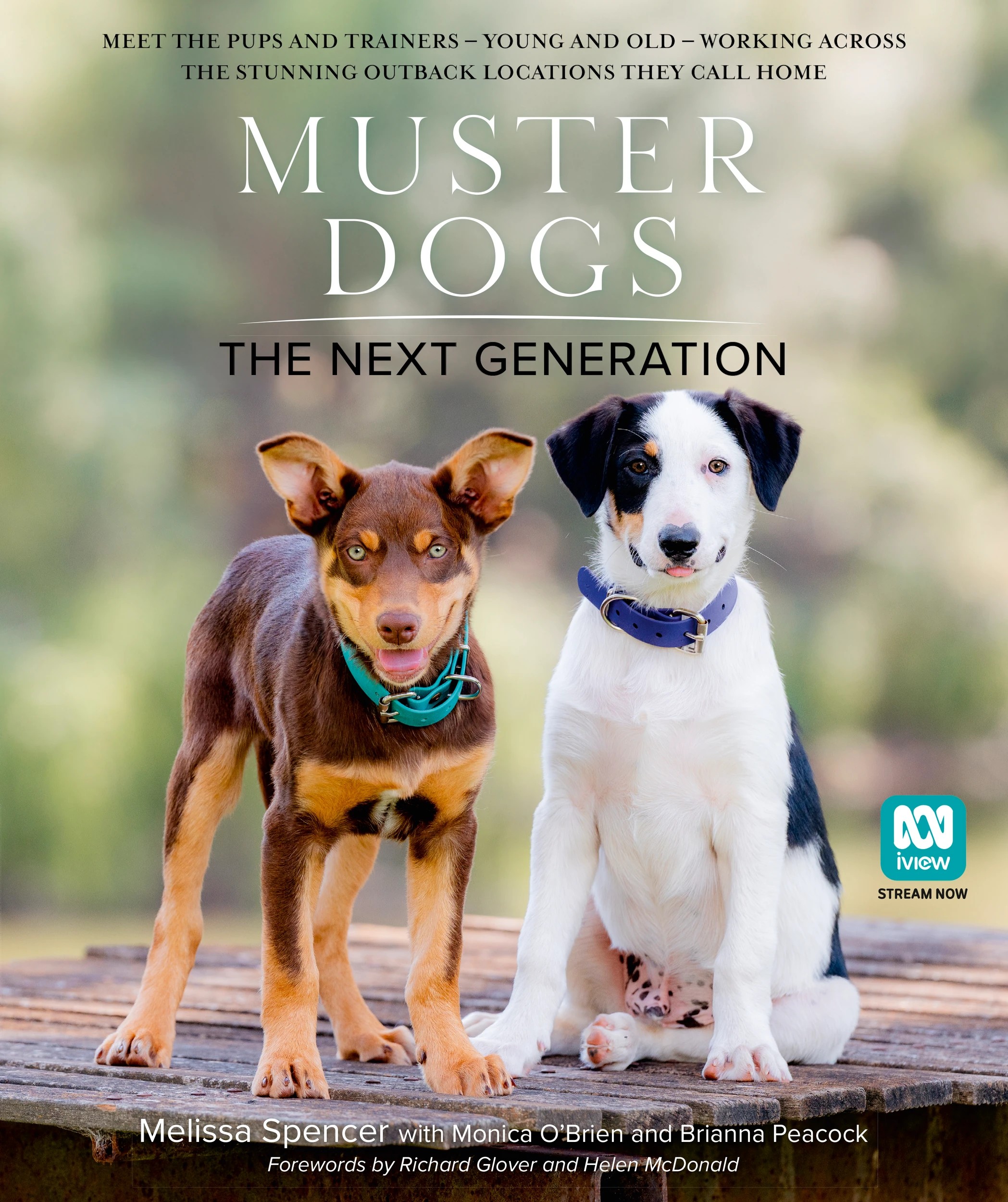 1 Muster Dogs: The Next Generation by Melissa Spencer, Monica O'Brien and Brianna Peacock - Book, 1 of 1