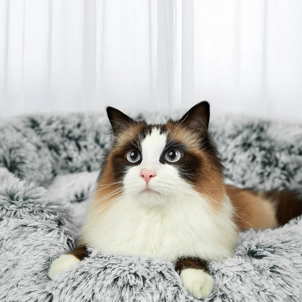 7 Pawz Upgraded 120X120X26Cm Removable Cover Calming Bed In Charcoal Colour, 7 of 9