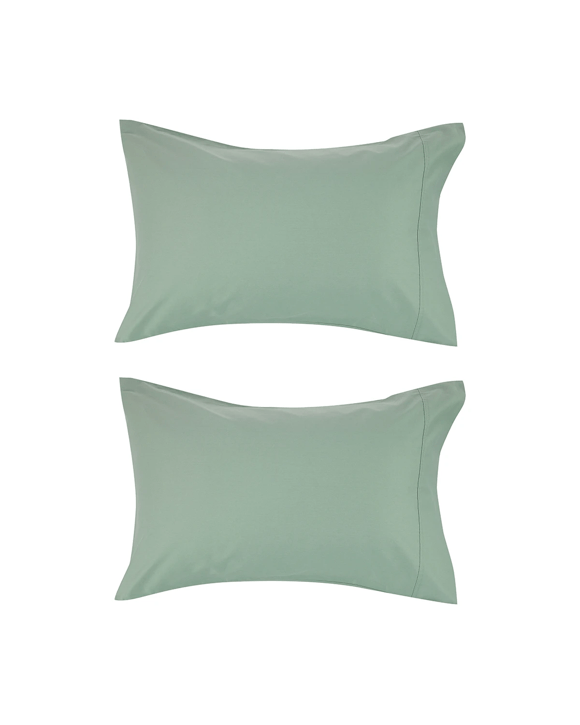 2 Pack 500 Thread Count Cotton Standard Pillowcases - Sage