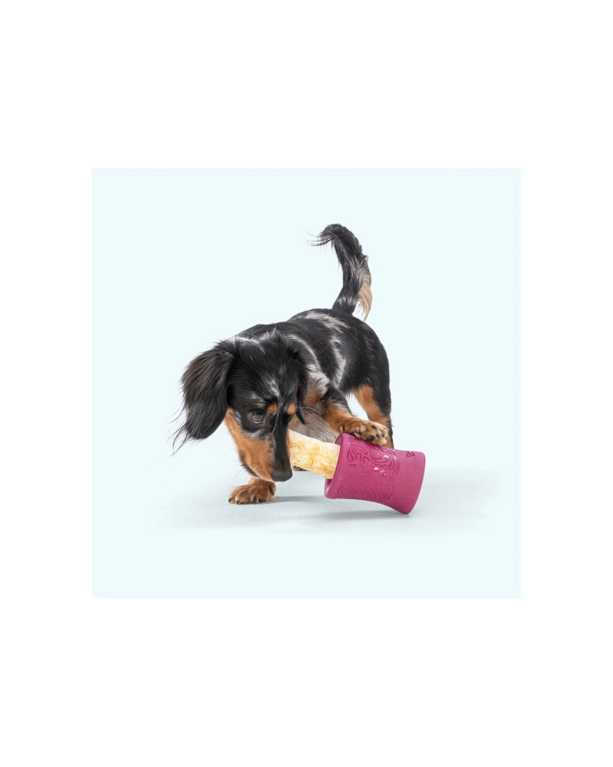 3 West Paw Funnl Pet Dog Treat Dispenser Soft Chew Toy No-Hide Holder Zogoflex - Blue, 3 of 5