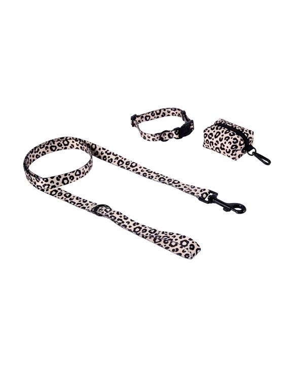 Leopard Collar Walking Set - Small