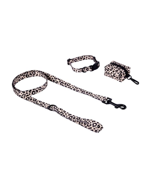 Leopard Collar Walking Set - S