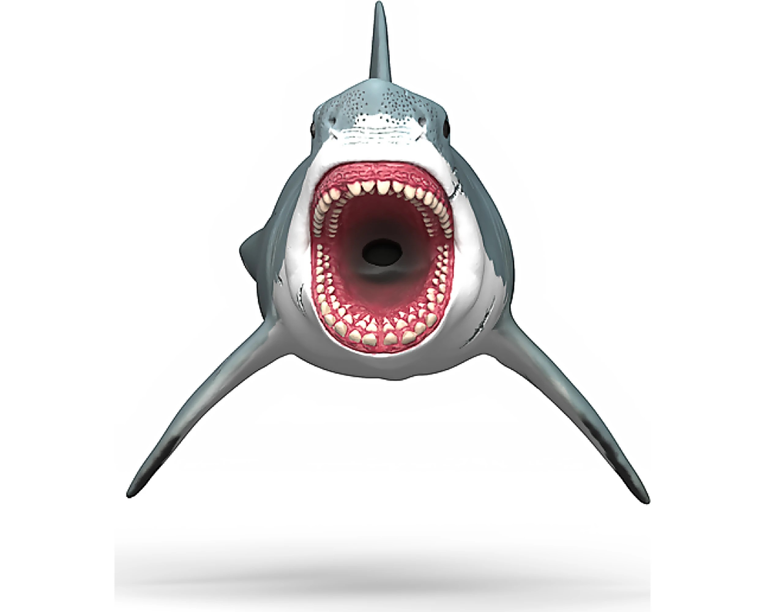 Schleich - Megalodon Prehistoric Giant Shark Figurine - Kmart
