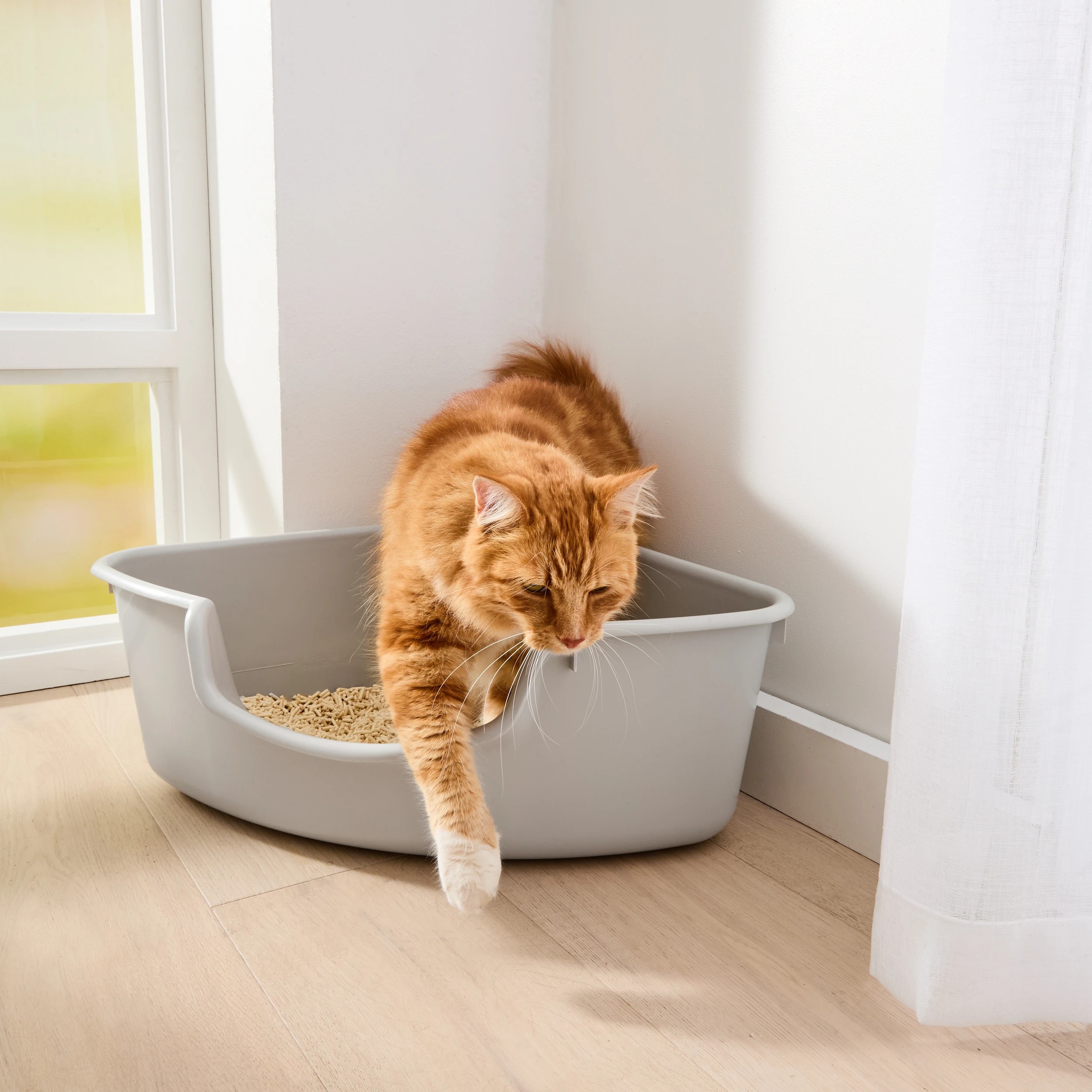 1 Cat Litter Tray Corner, 1 of 7