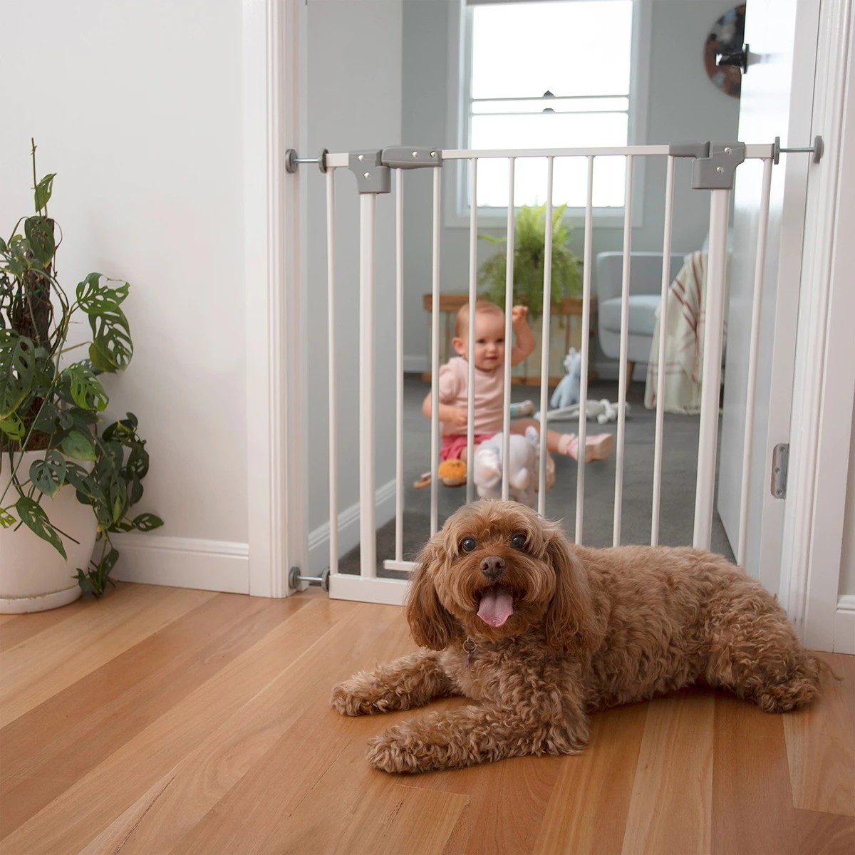 5 Metal Gate with Extensions, 5 of 5