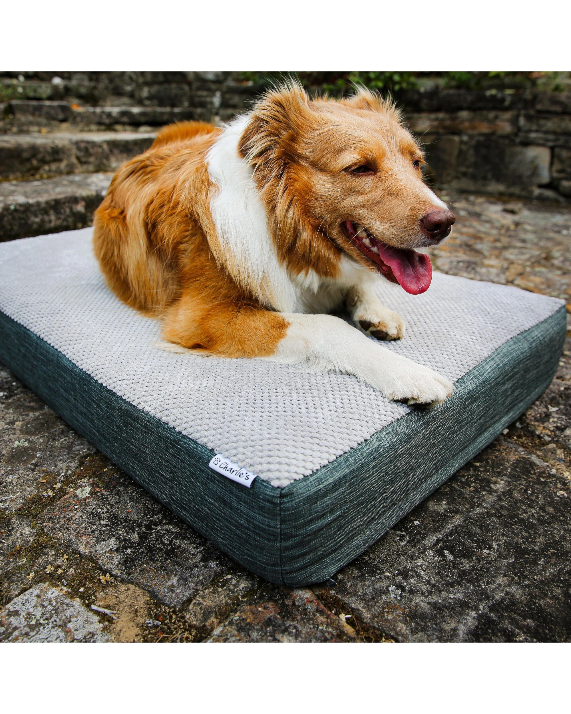 1 Charlie's Universal Dog Orthopedic Foam Crate Mattress Bed Small - Grey, 1 of 10