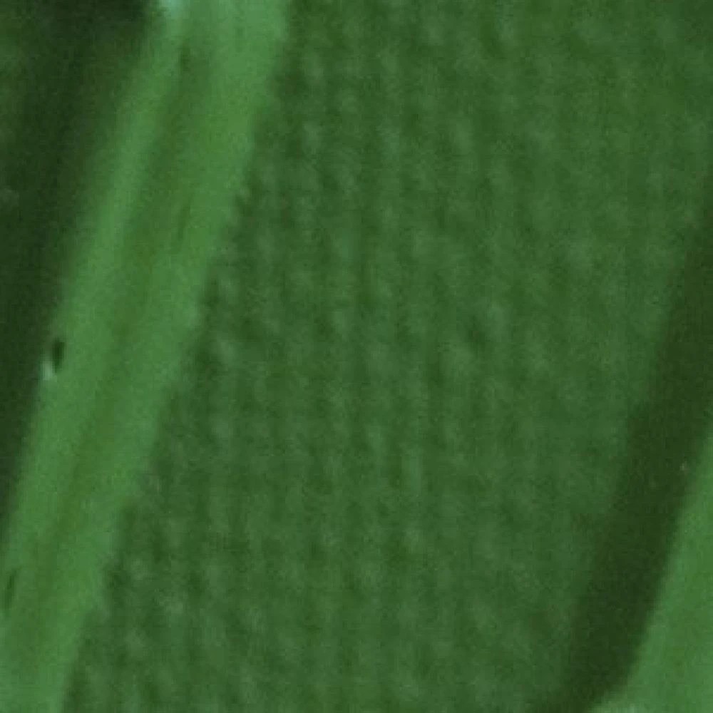 2 Pebeo Origin Acrylic Paint 120mL Permanent Light Green, 2 of 2