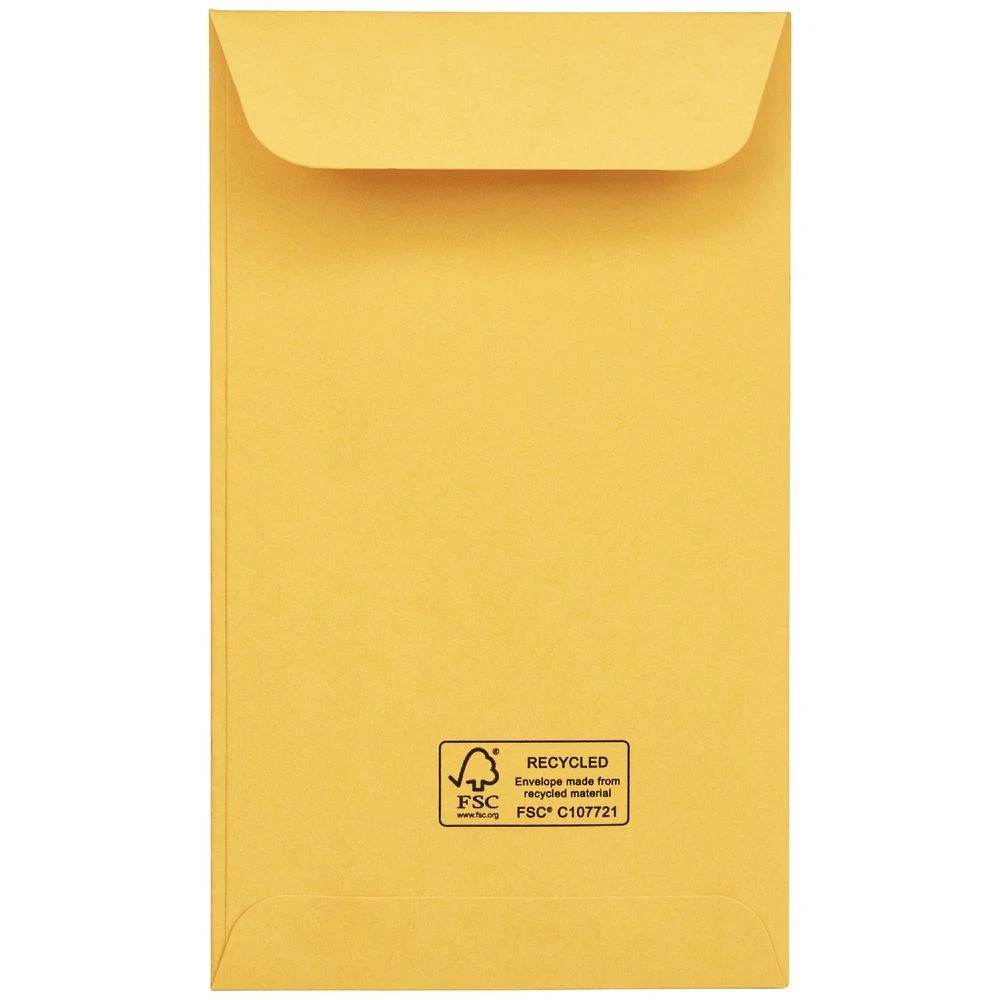 2 PPS Size 6 Gold Envelopes 500 Pack, 2 of 3