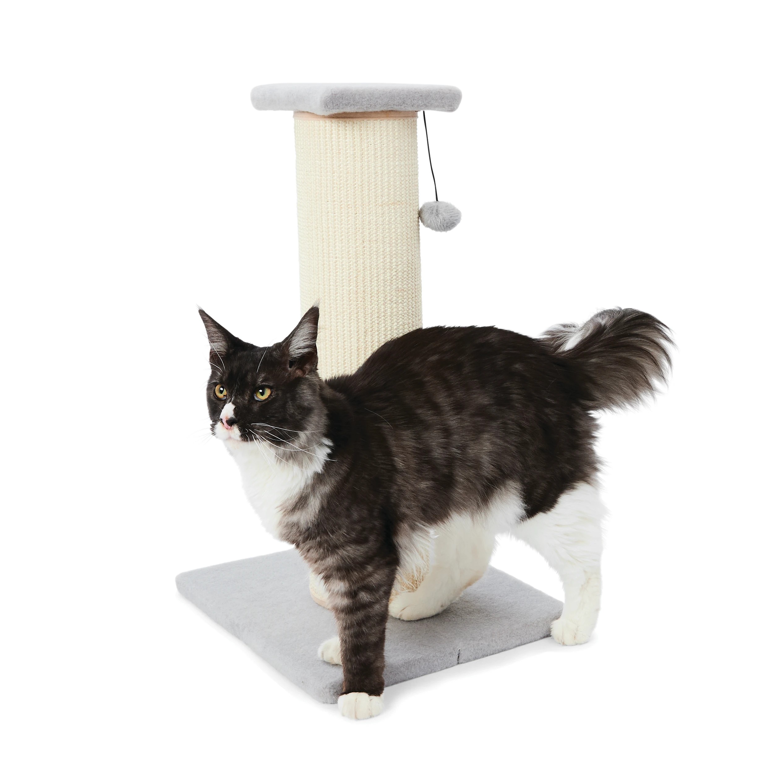 2 Cat Scratcher Wide - Medium, 2 of 10