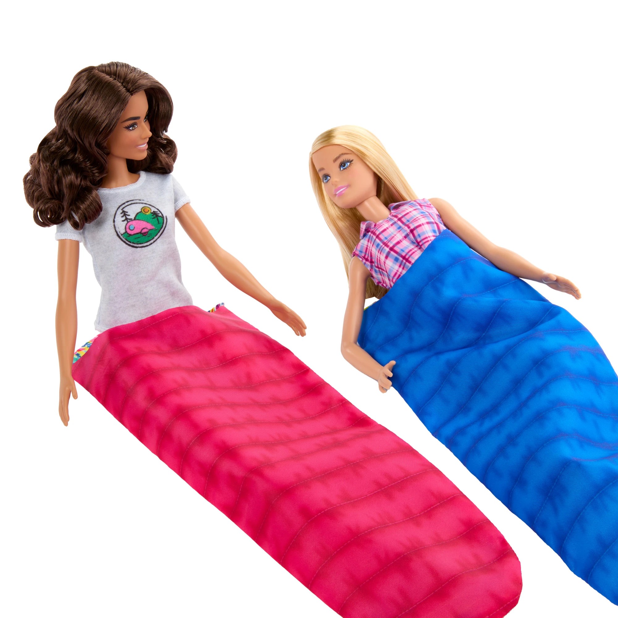 6 Barbie Dolls and Camping Accessories Playset, 6 of 6