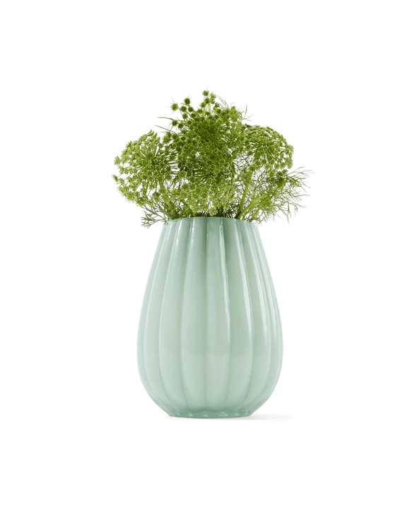 Tulip Glass Vase