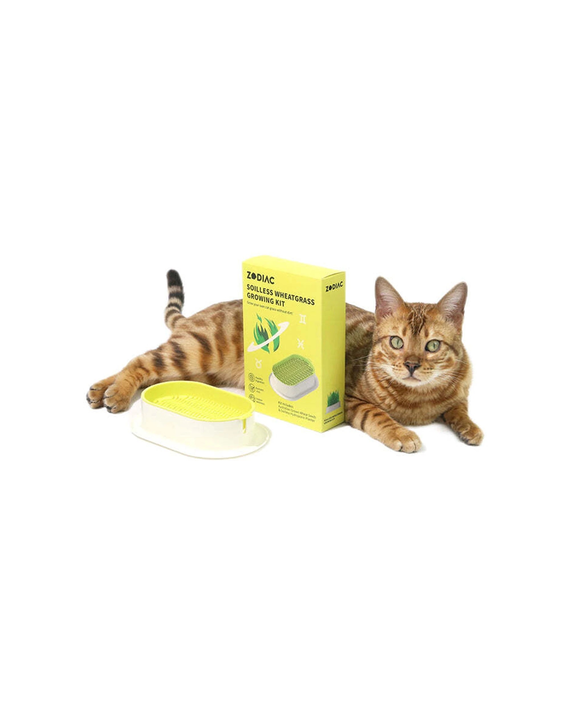 2 Zodiac Soilless Wheatgrass Growing Kit Cat Feeding Indoor Wellness Nutrient - Yellow, 2 of 4