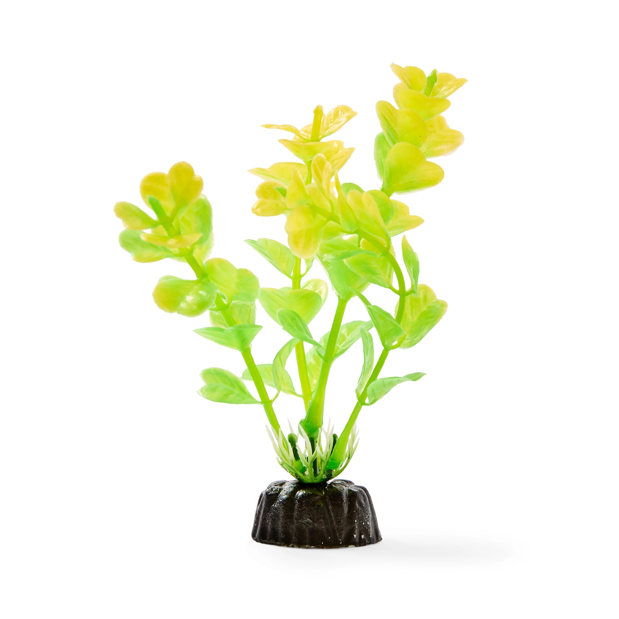 8 6 Pack Aquarium Bright Plants - Small, 8 of 10