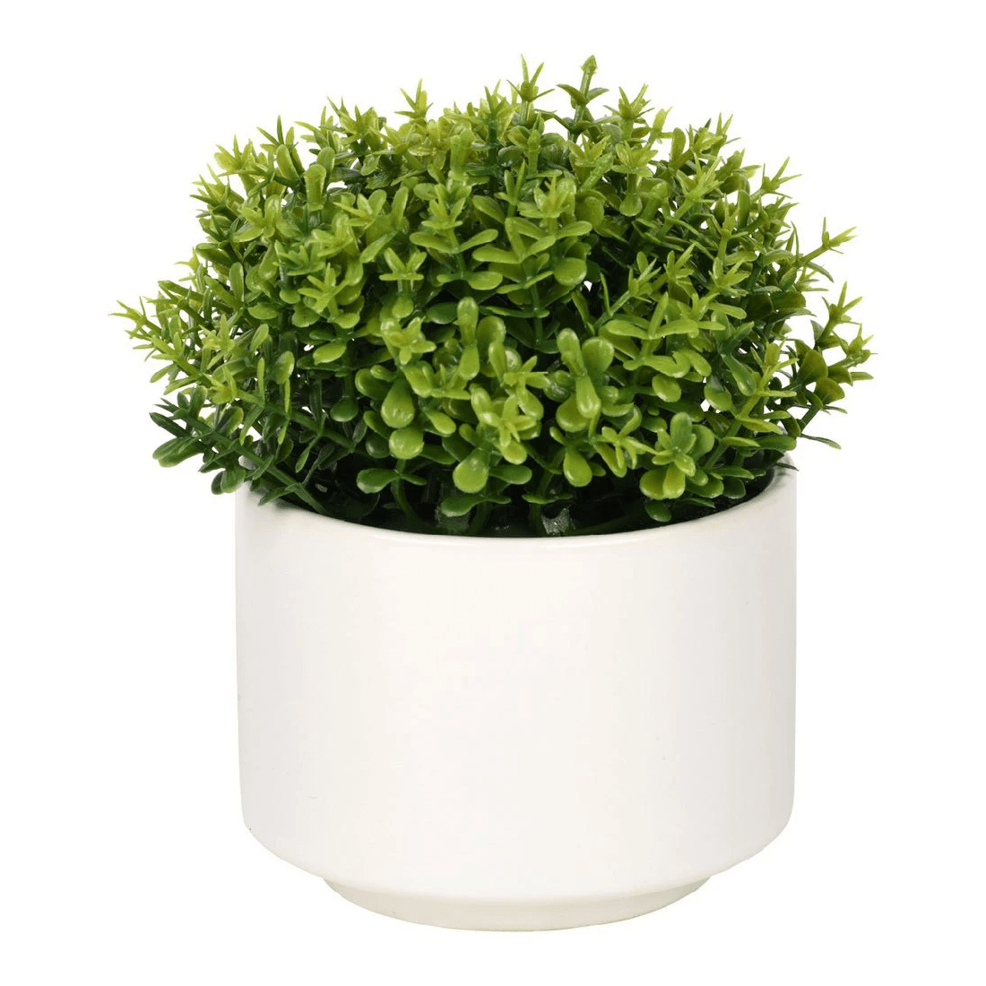1 Otto Mini Plant Shrub, 1 of 3