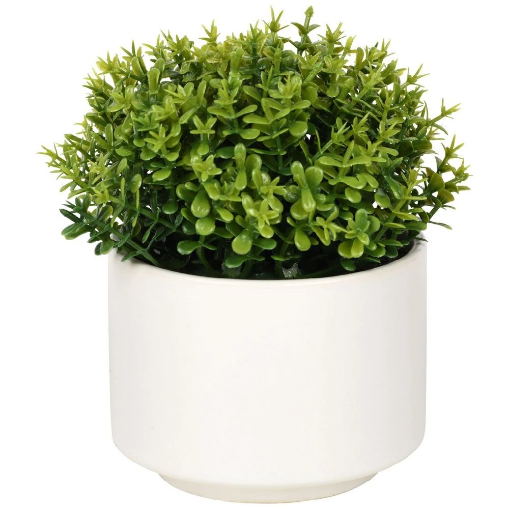 1 Otto Mini Plant Shrub, 1 of 3