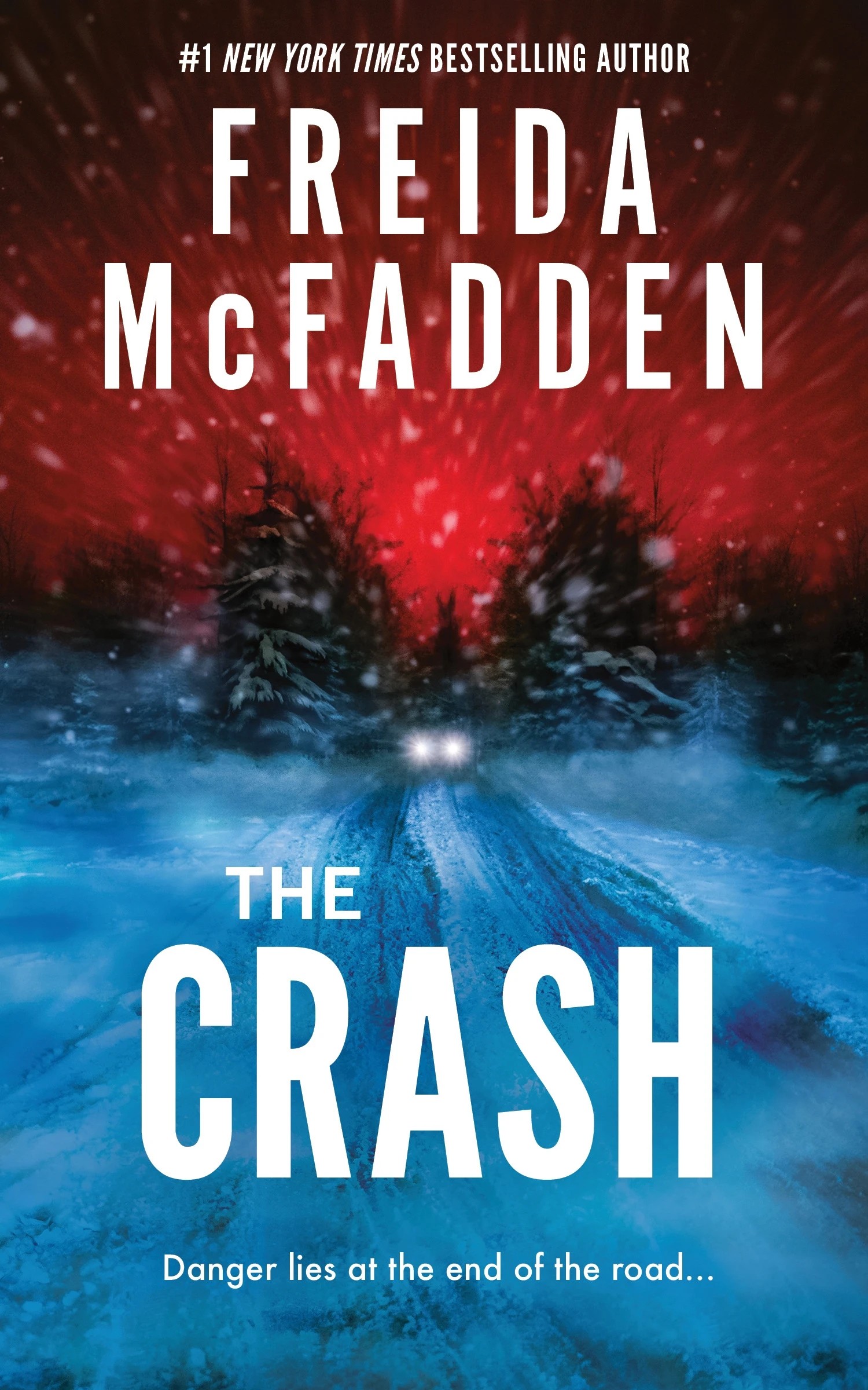 1 The Crash by Frieda McFadden - Book, 1 of 1