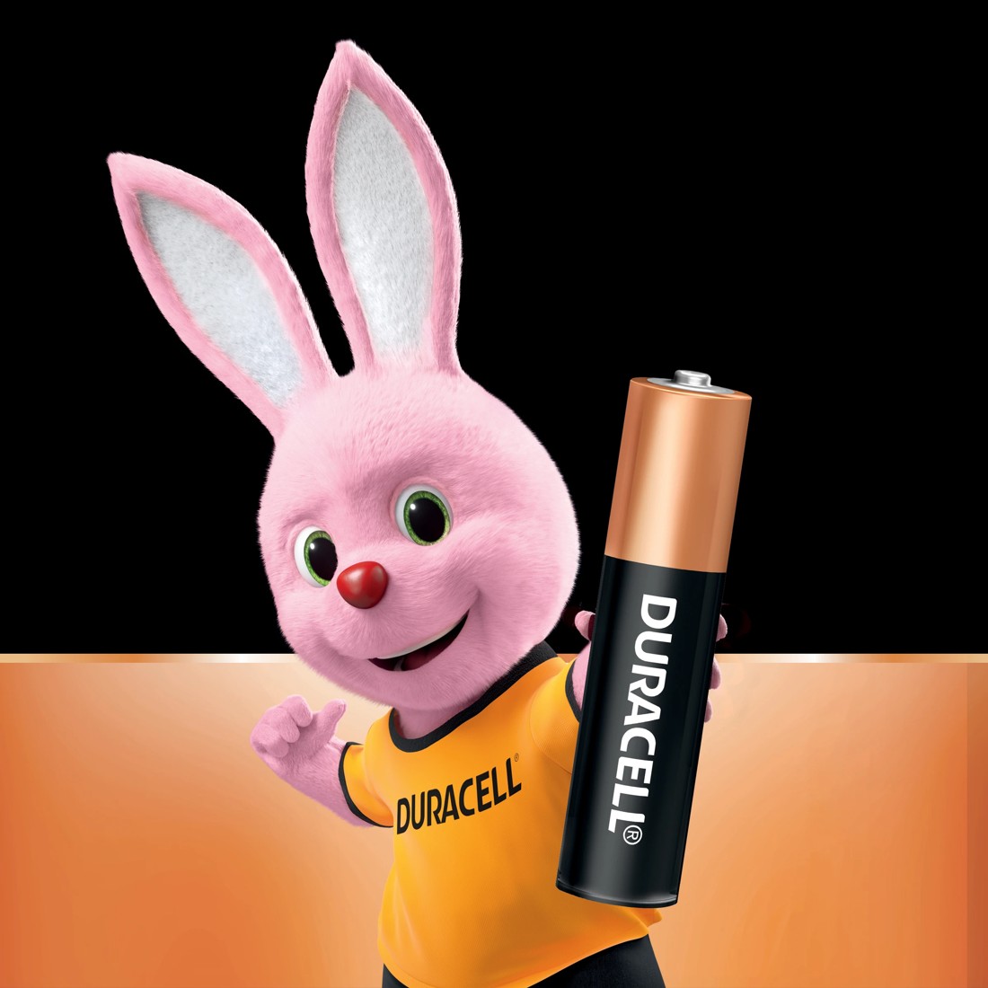 3 4 Pack Duracell Coppertop Alkaline AAA Batteries, 3 of 10