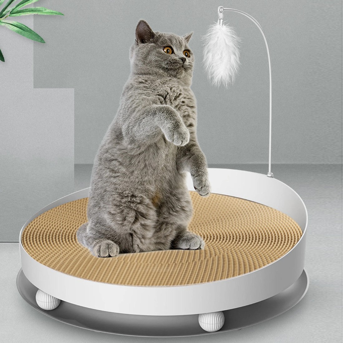 2 TODO Cat Scratching Tray Board Pet Scratcher Pad Play Toy 40cm Diameter, 2 of 4