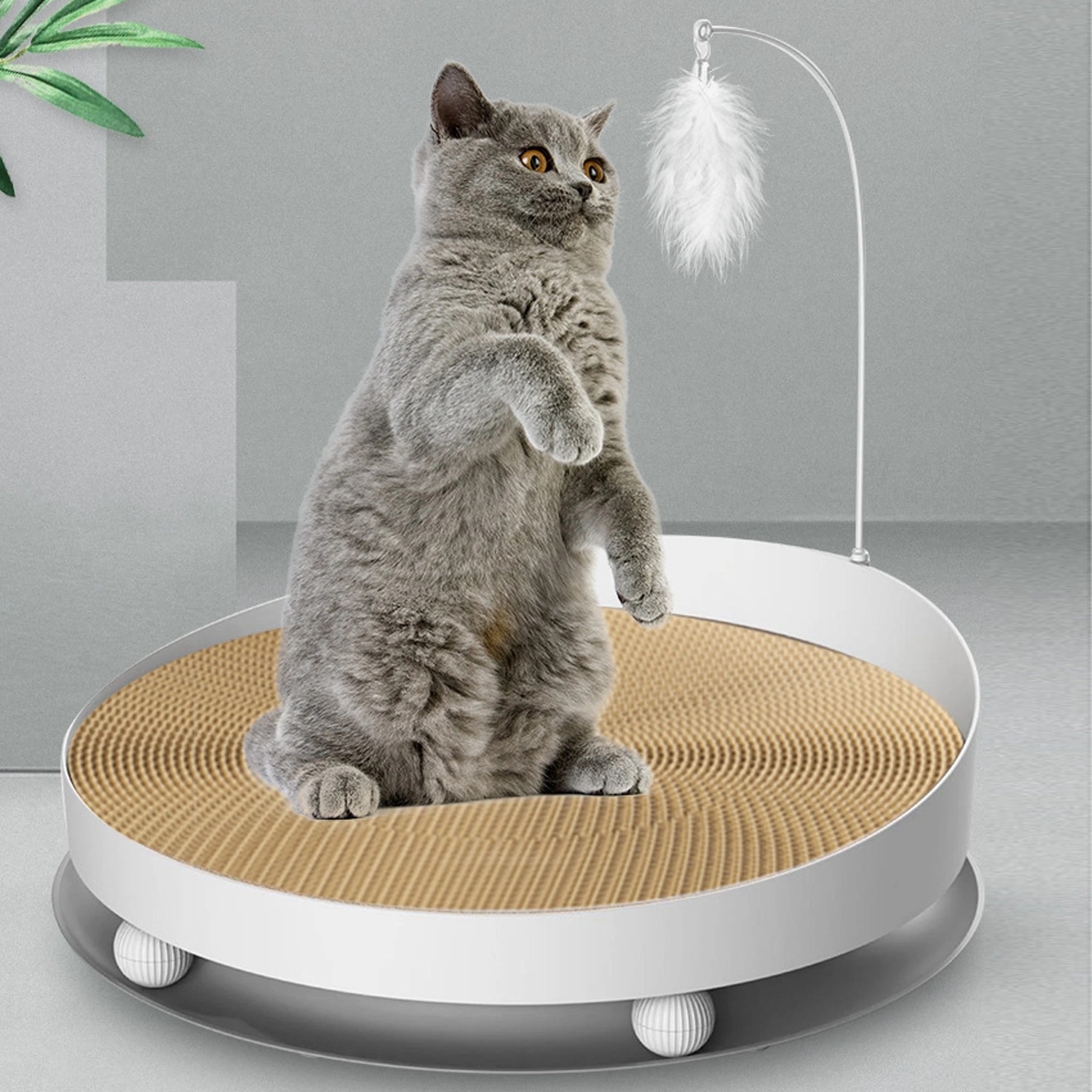 2 TODO Cat Scratching Tray Board Pet Scratcher Pad Play Toy 40cm Diameter, 2 of 4