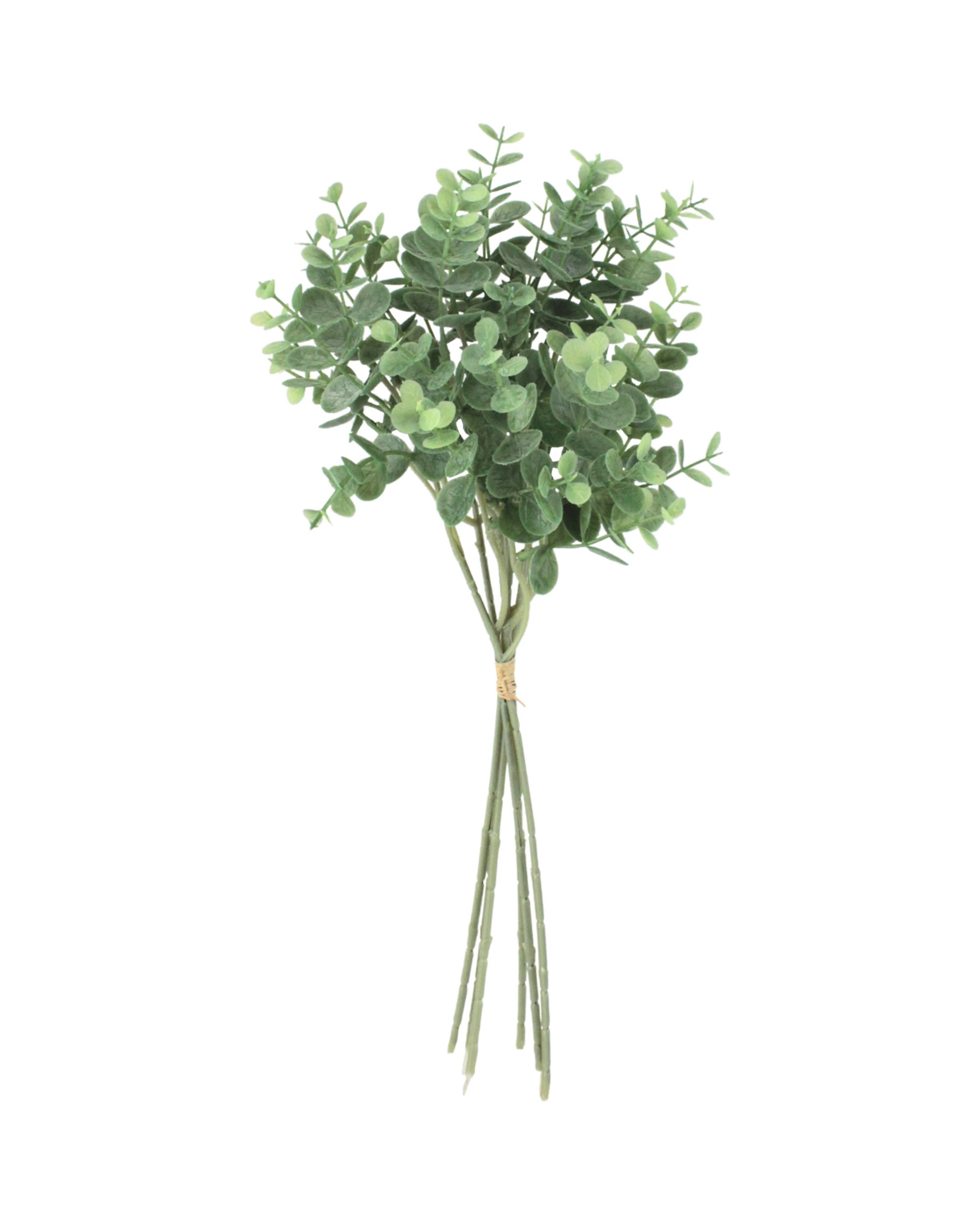 1 Gold Star 6 Stems Artificial Baby Eucalyptus Leaf Branches - Green, 1 of 3