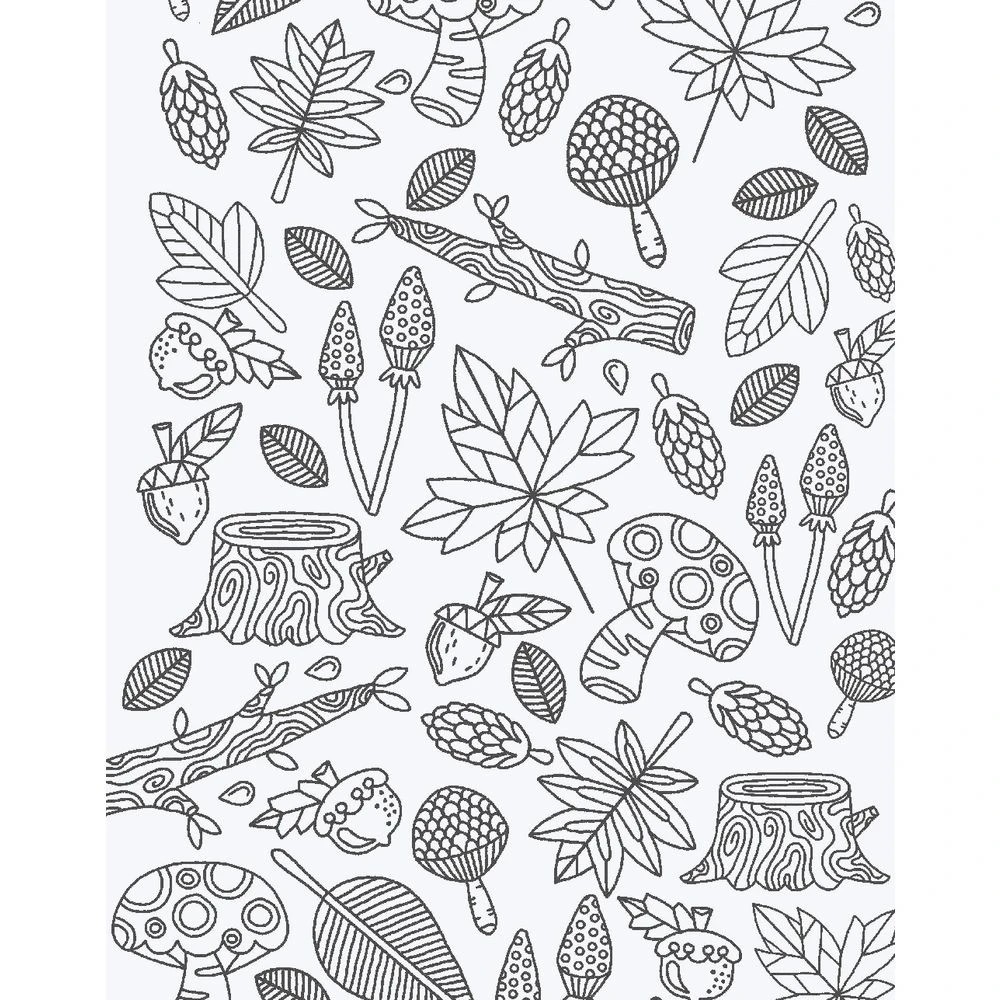 2 Lake Press Deluxe Poster Art Book Calm Colouring, 2 of 4