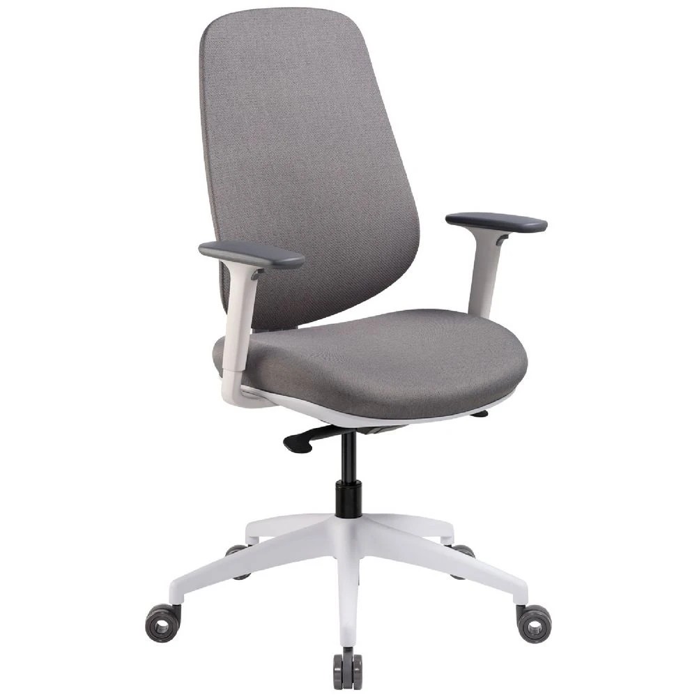 1 Pago AirForm Synchro Ergonomic Chair Ash Grey Ergonomic Chairs and Desk Chairs, 1 of 10