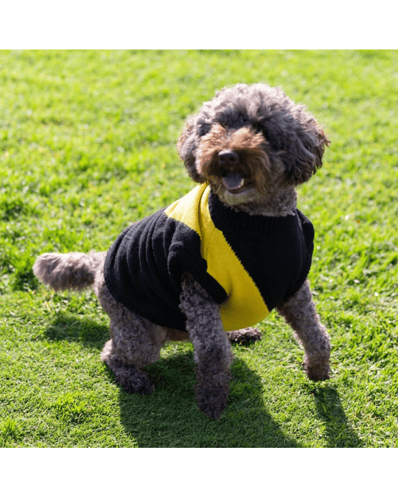AFL Richmond Tigers Pet Jumper - Medium
