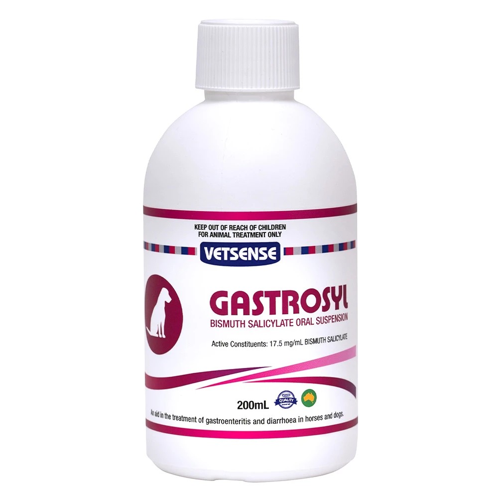 1 Vetsense Gastrosyl For Dogs & Horses  200 Ml, 1 of 1