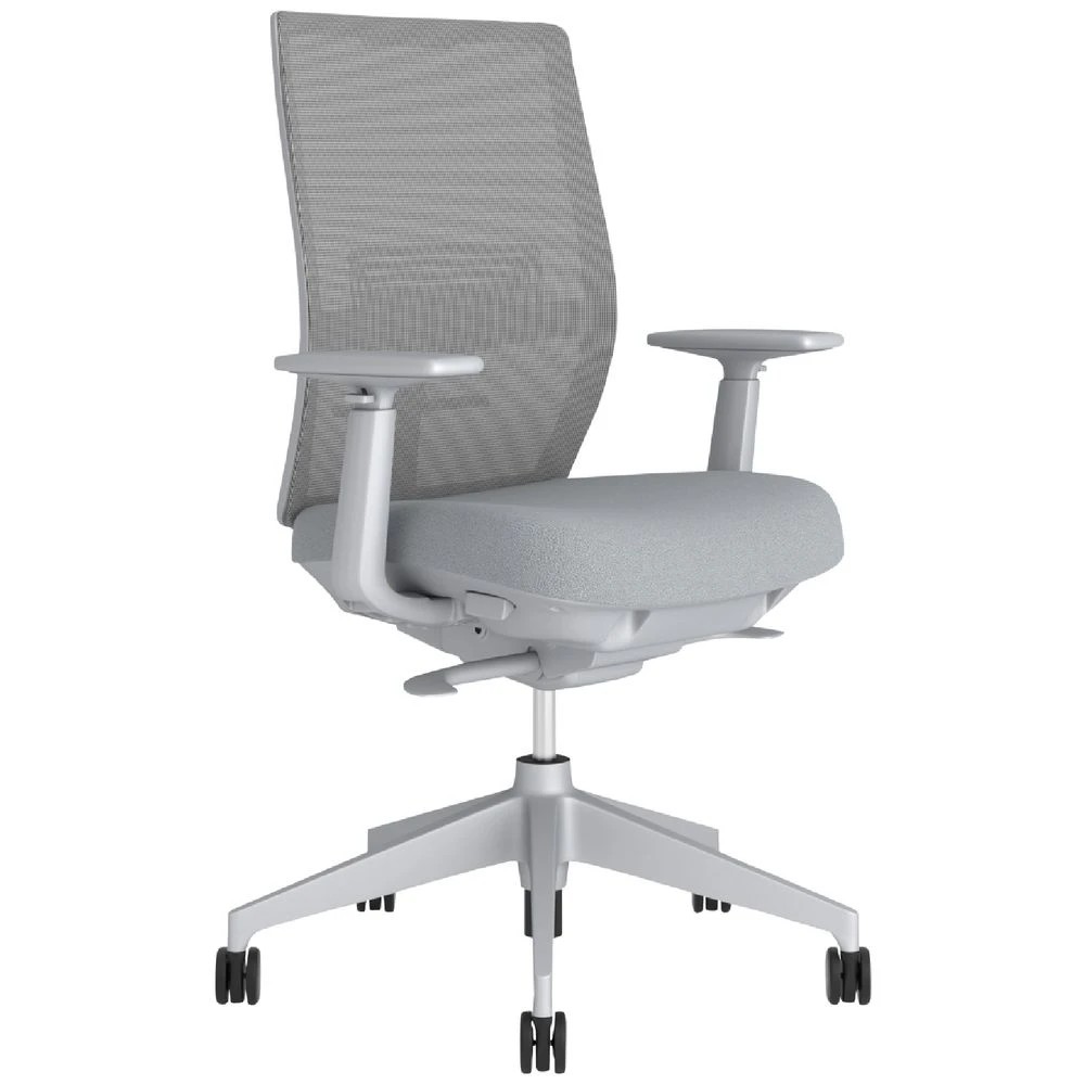 1 Haworth Aloha Active Ergonomic Chair Grey Ergonomic Chairs and Desk Chairs, 1 of 9