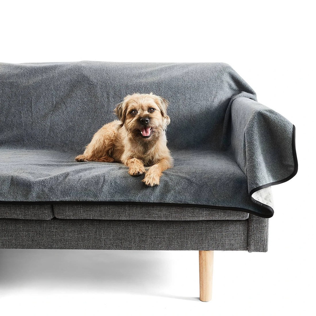 3 Pet Extra Large Accident Protector, 3 of 8