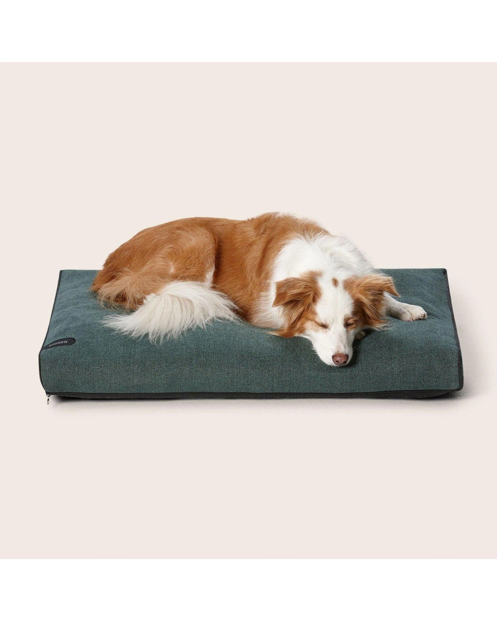 4 Snooza Modern Daybed Thick Cosy Durable Pet Dog Bed Emerald Green Large, 4 of 5