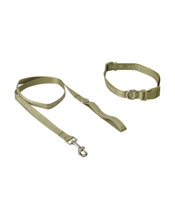 Best Dog Ever Collar and Lead Set - Large, Green
