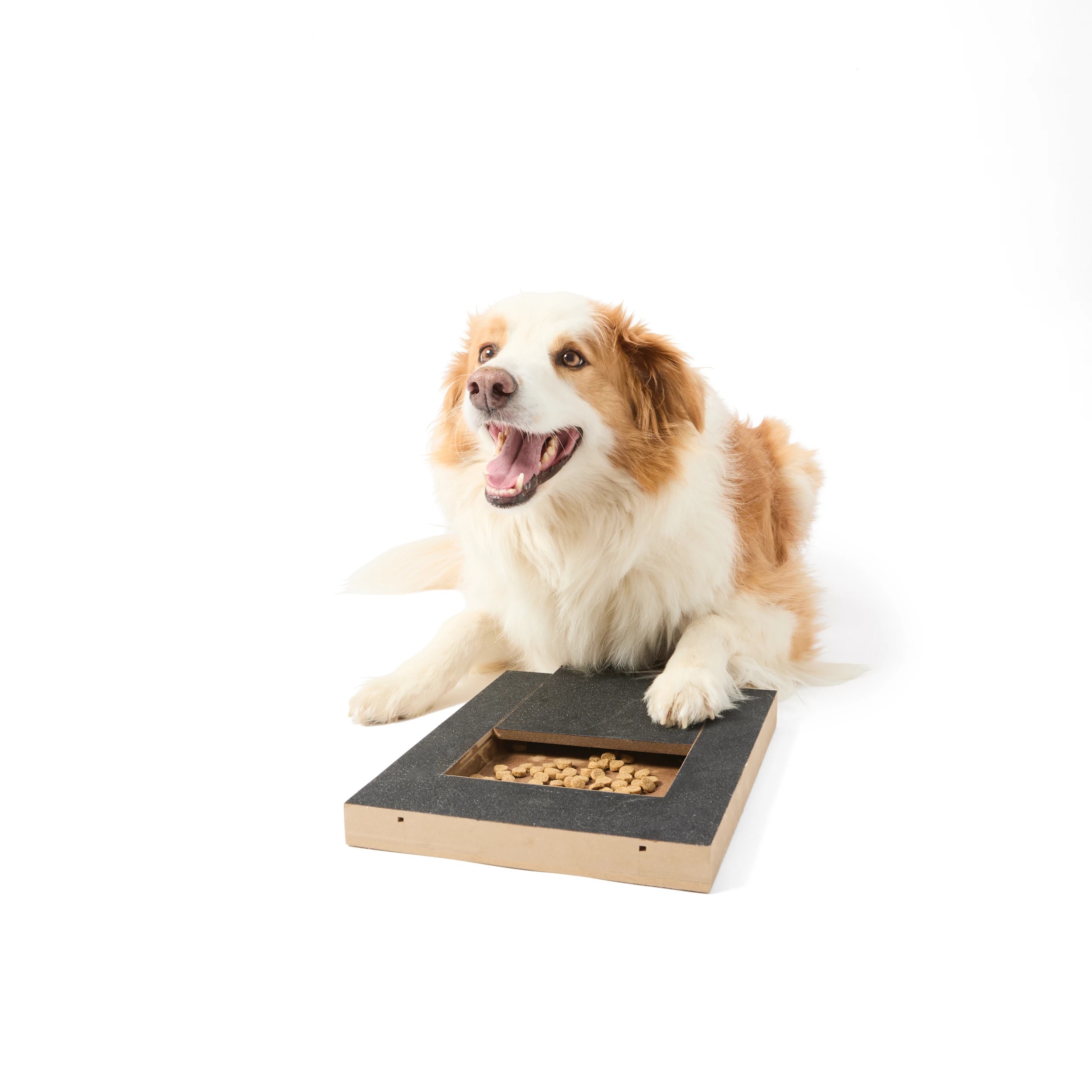 1 Nail Scratch Treat Dispenser, 1 of 10