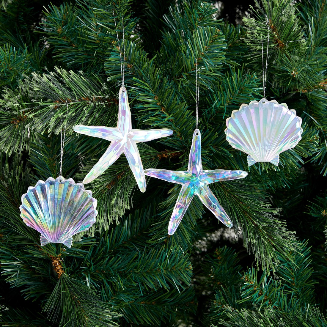 4 Ocean Decoration - Assorted, 4 of 5